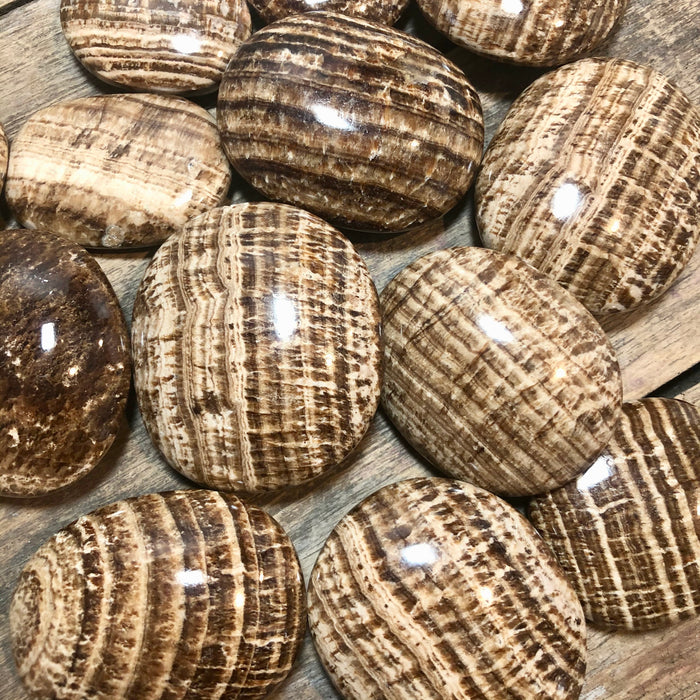 Aragonite Palm Stone