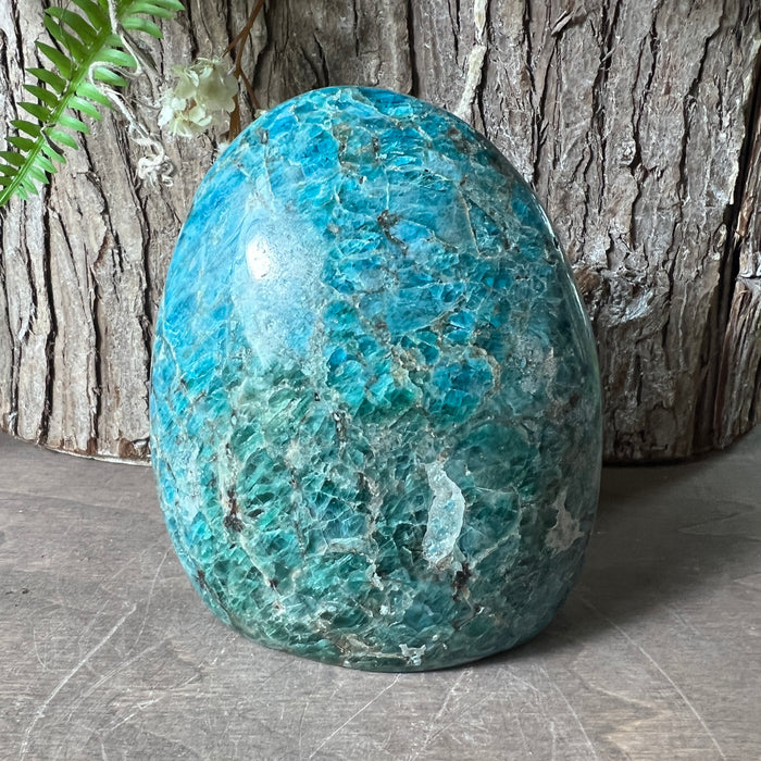 Blue Apatite Free Form