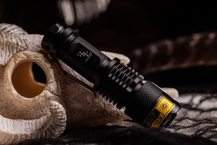 Set + Anti-Faro UV Flashlight