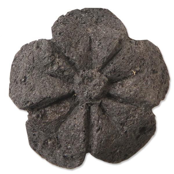 Pumice Stone | Flower