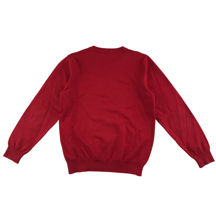 Red unisex v-neck school jumper