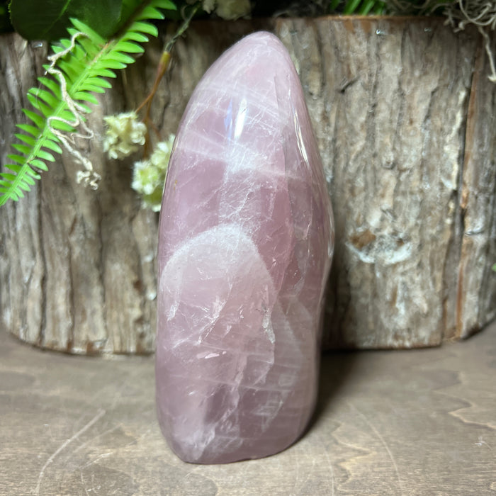 Rose Quartz Free Form