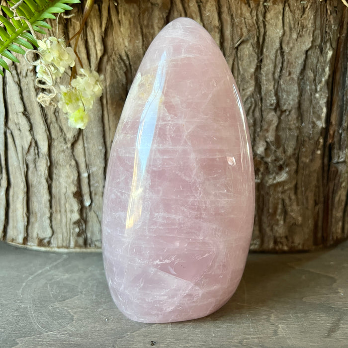 Rose Quartz Polished Free Form