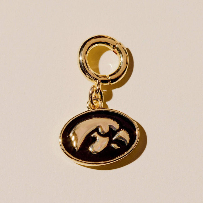 University of Iowa Charm