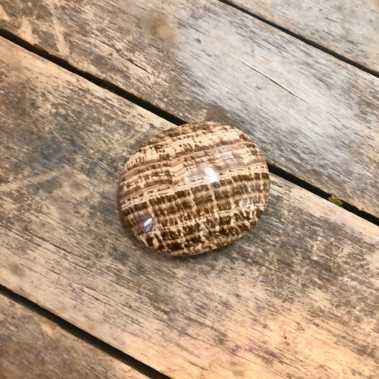 Aragonite Palm Stone