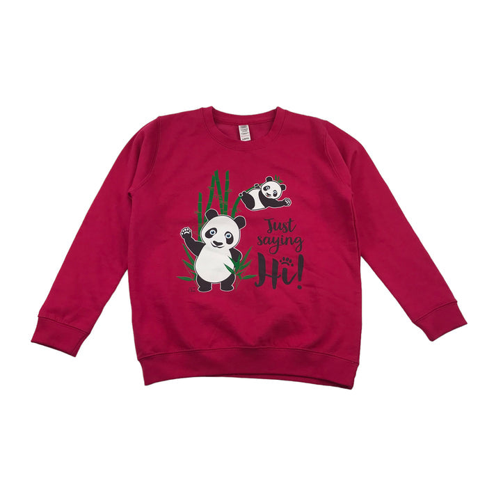 Preloved kids jumper