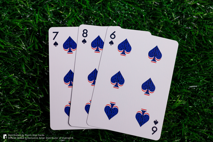 (BACKORDER) FFF Playing Cards - Home Edition