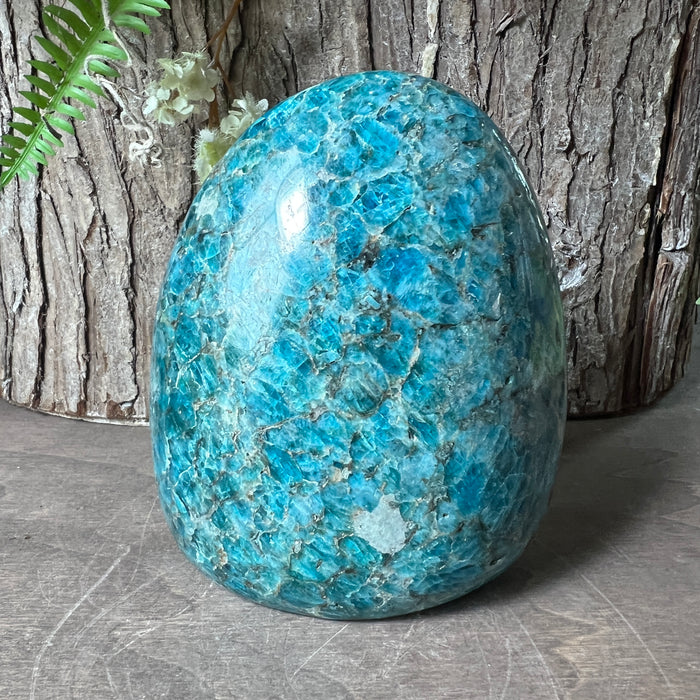 Blue Apatite Free Form