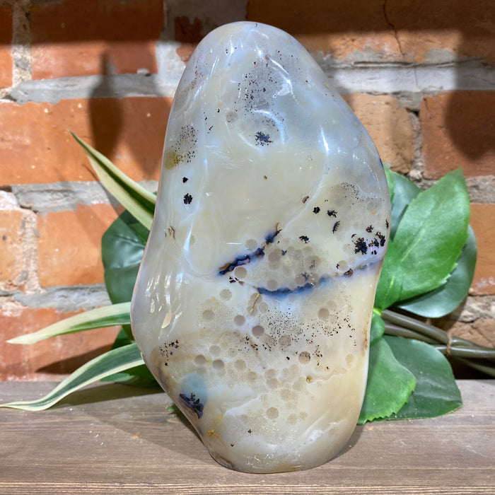 Dendritic Agate Free From