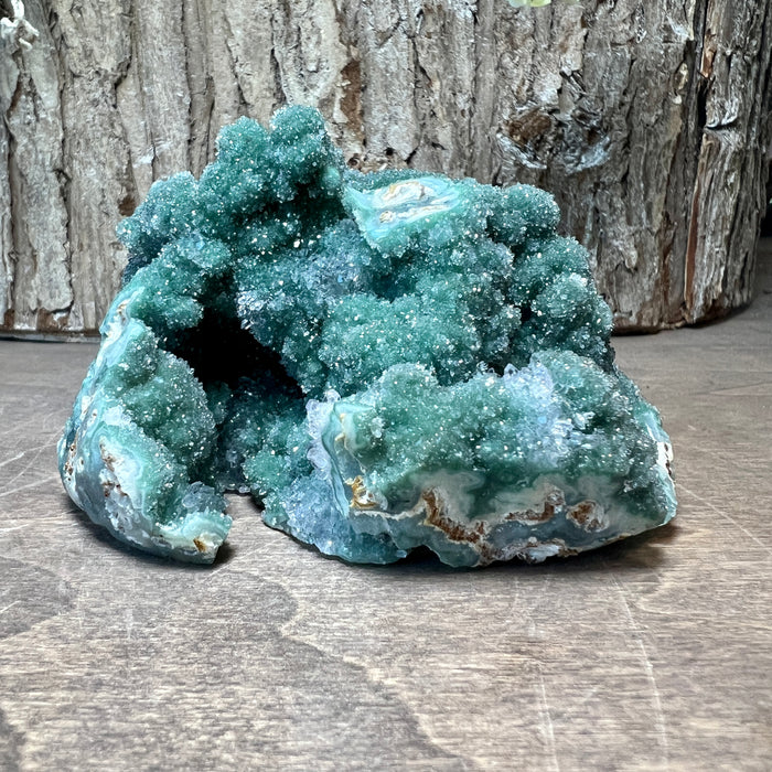 Emerald Forest