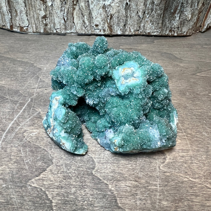 Emerald Forest