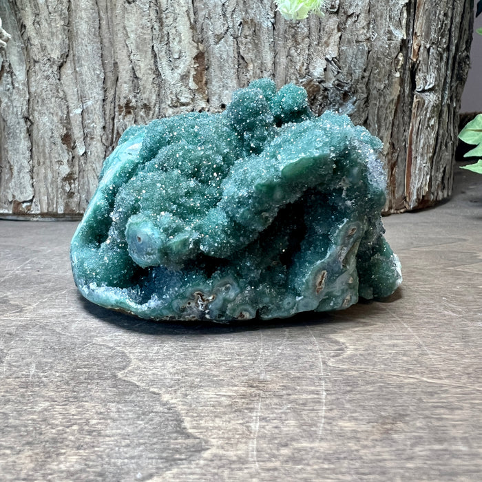 Emerald Forest