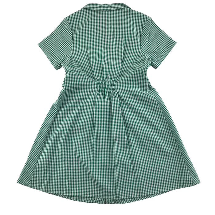 Green gingham with belt girls school summer dress