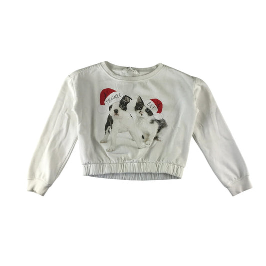 H&M festive sweater 9-10 years white puppy and kitten Christmas pullover