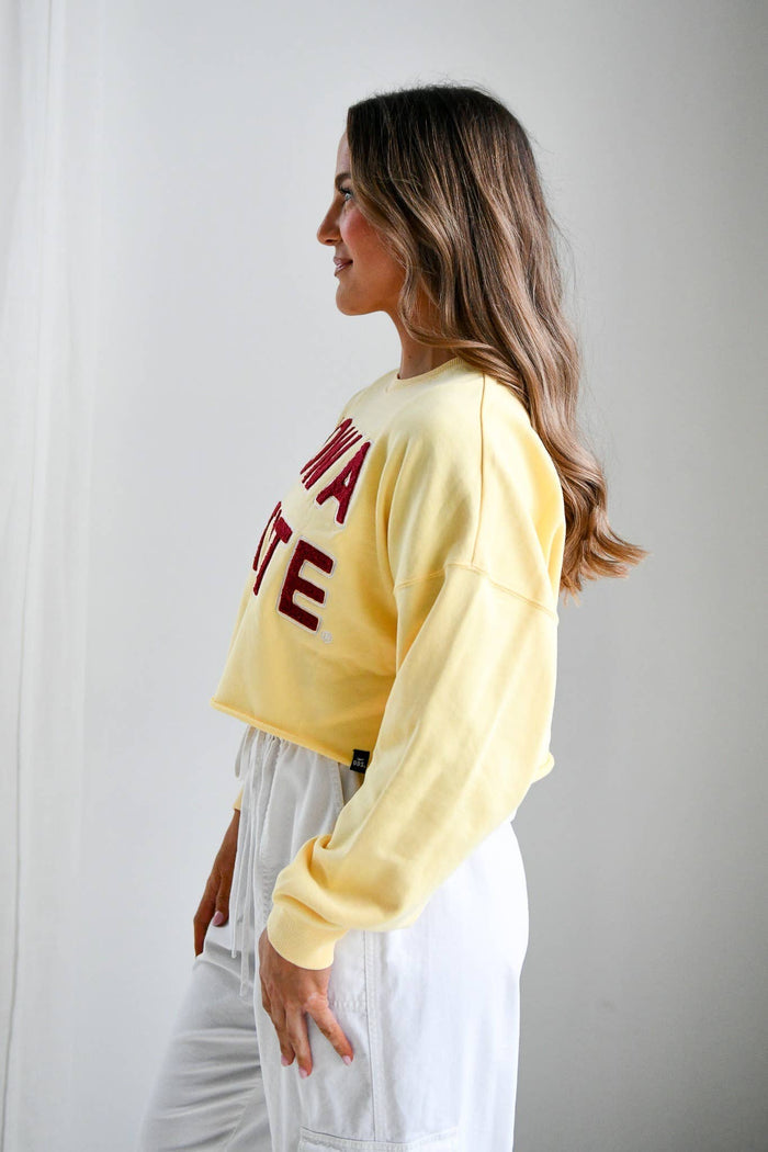 Gameday Social Iowa State Perkins Chenille Cropped Longsleeve – women's sweatshirt