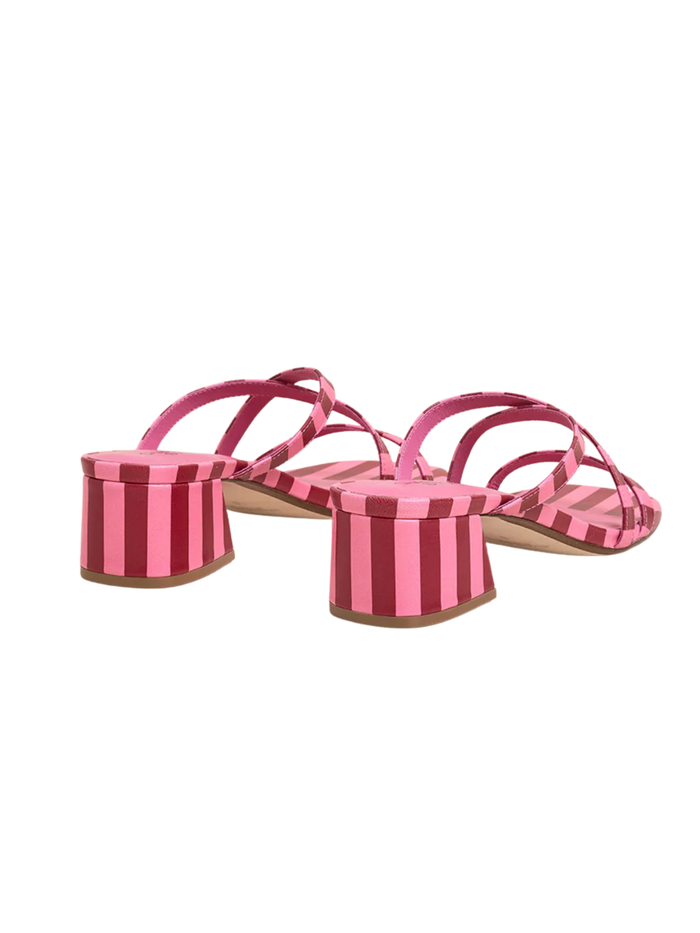 Levi in Bubblegum Stripe
