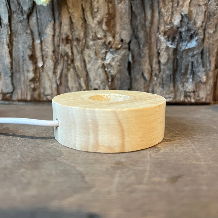 Light Stand