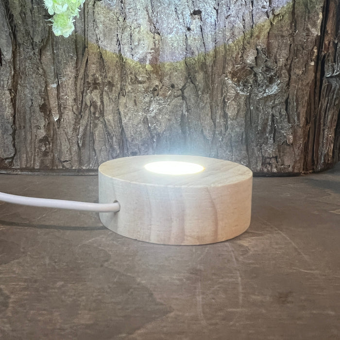 Light Stand