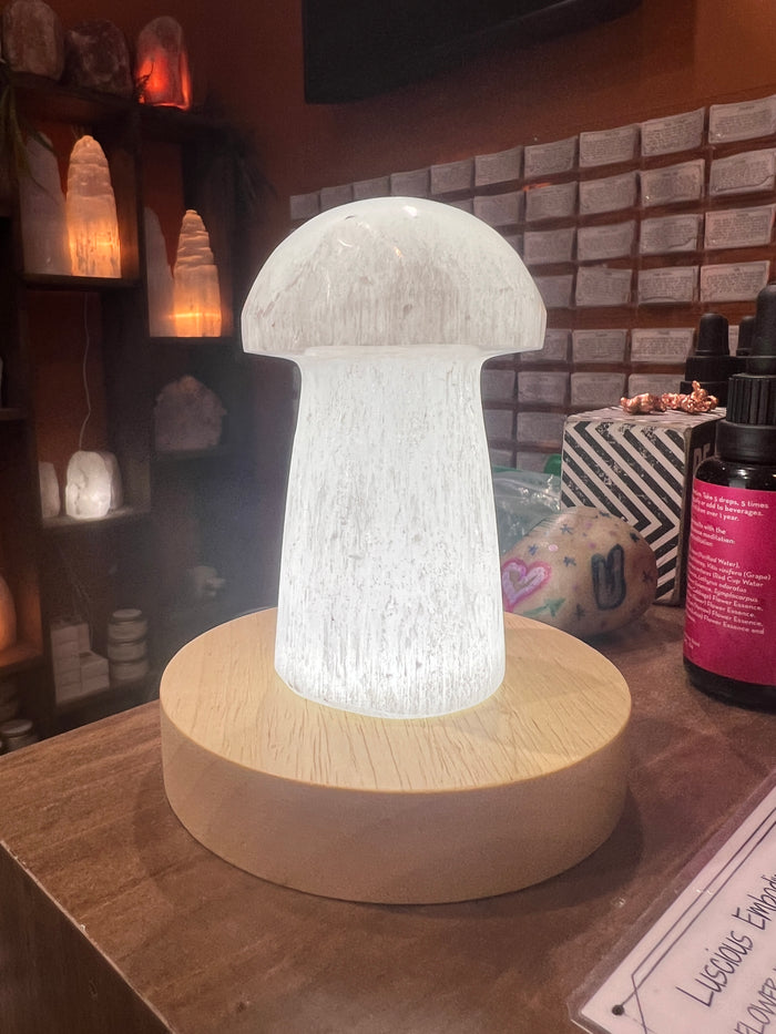 Light Stand