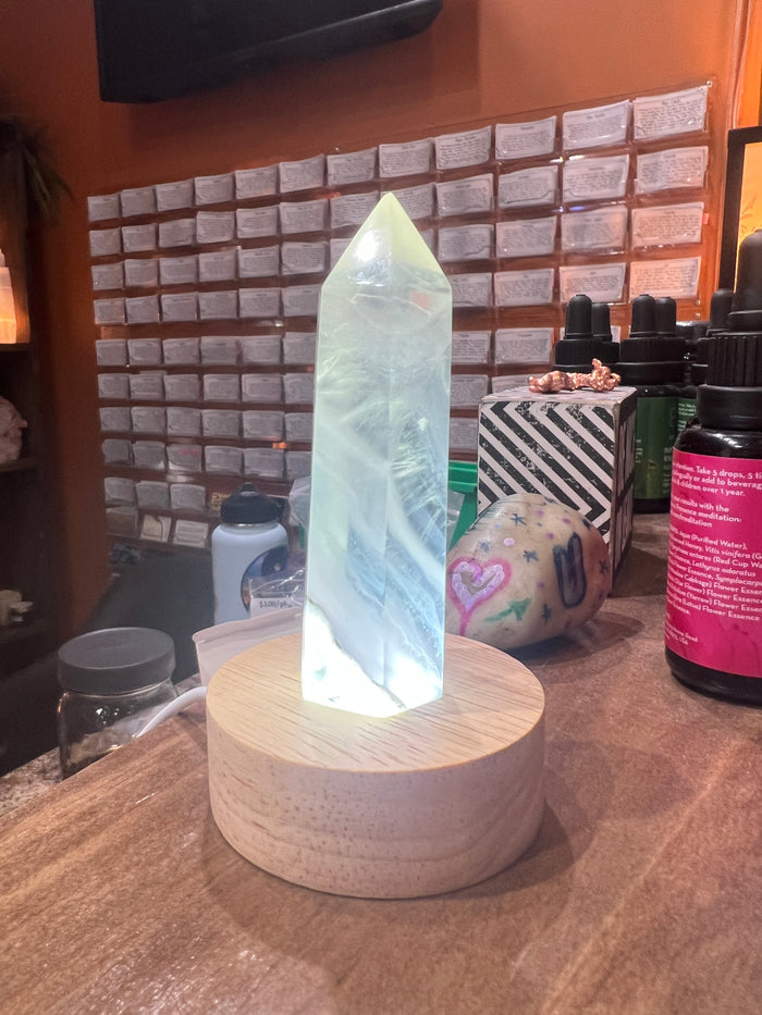 Light Stand