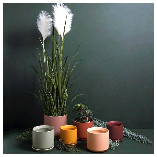 Potted Oslo Planter - Peach | Koop.co.nz