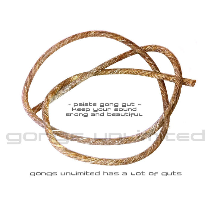 Paiste Gong Guts  - Various Sizes