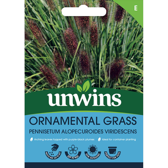Pennisetum Seeds 'Alopecuroides Viridescens'