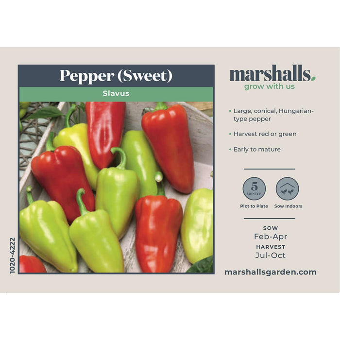 Pepper Seeds 'Sweet Slavus'