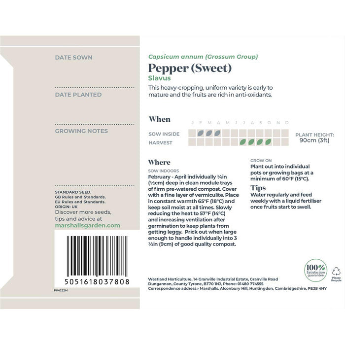Pepper Seeds 'Sweet Slavus'