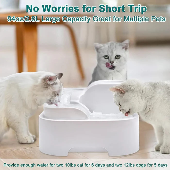 Pet Fountain
