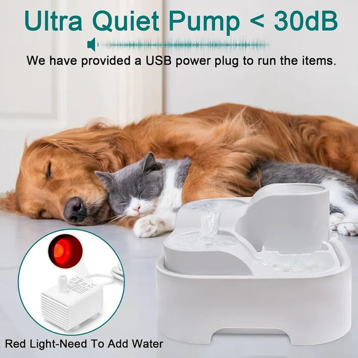 Pet Fountain