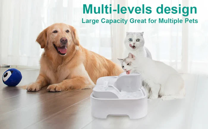 Pet Fountain