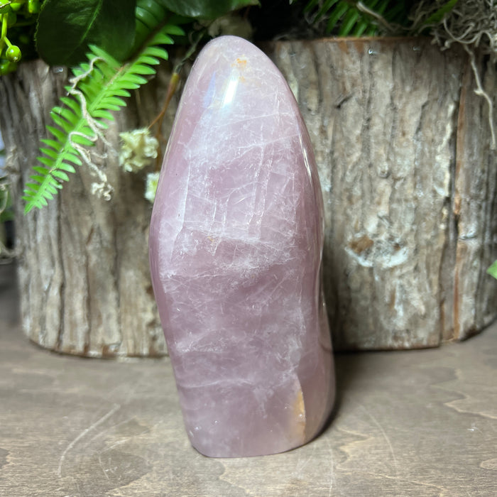 Rose Quartz Free Form