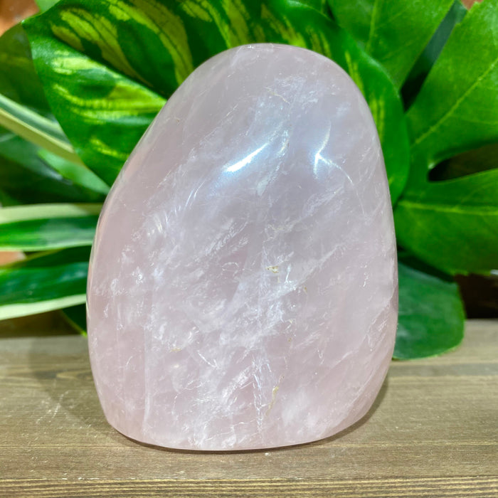 Rose Quartz Polished Free Form