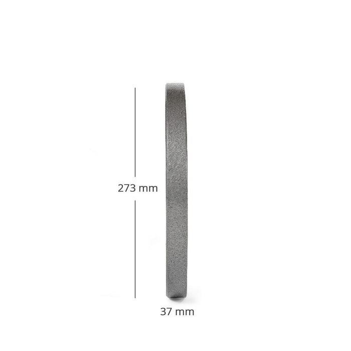 SCRATCH AND DENT - 25 LB Pair Silver Series Cast Iron Olympic Plates - FINAL SALE