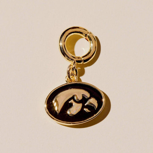 University of Iowa Charm