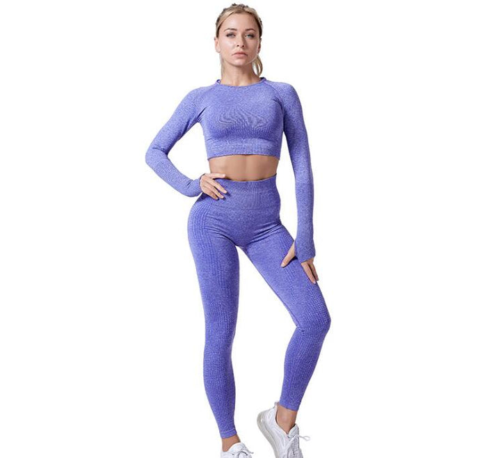 Women's Seamless Yoga Set - Leggings & Cropped Top