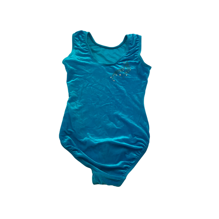 Z 12-14 years blue velvet sleeveless leotard
